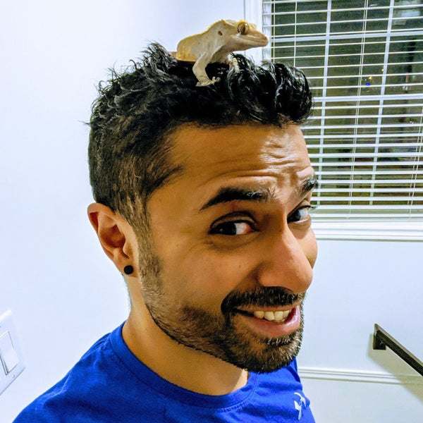 Mohit Muthanna Cheppudira