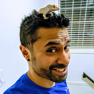Mohit Muthanna Cheppudira